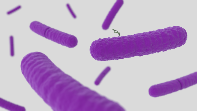 Bacteria render 06