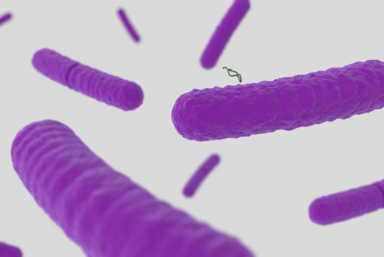 Bacteria render 06