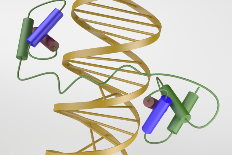 DNA helix